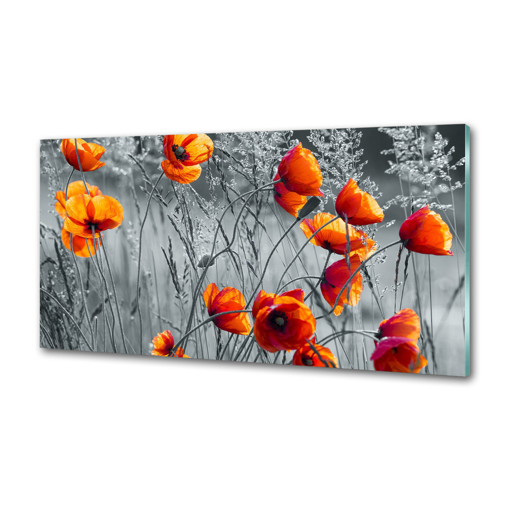 Cooker splashback Field poppies