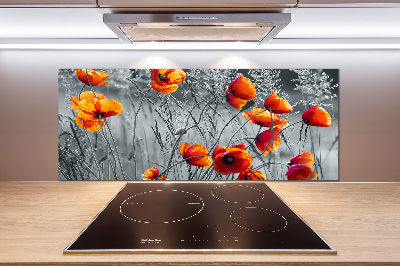 Cooker splashback Field poppies