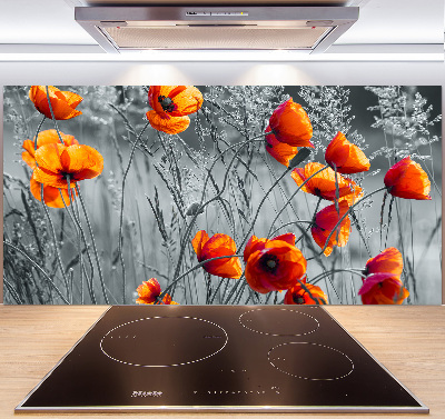 Cooker splashback Field poppies