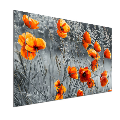 Cooker splashback Field poppies