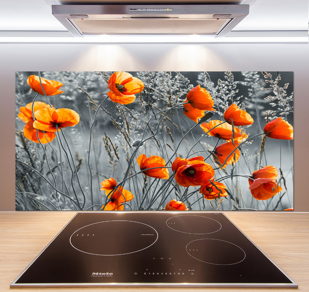 Cooker splashback Field poppies