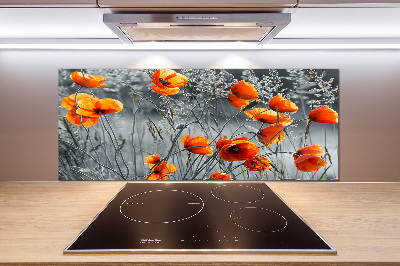 Cooker splashback Field poppies