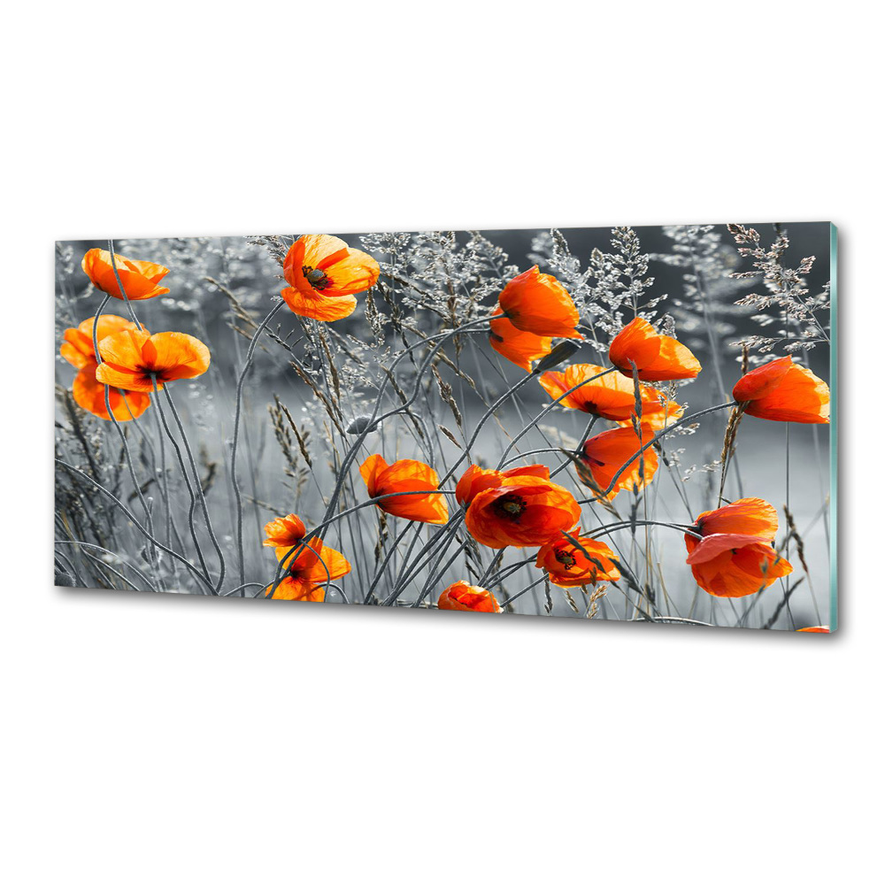 Cooker splashback Field poppies