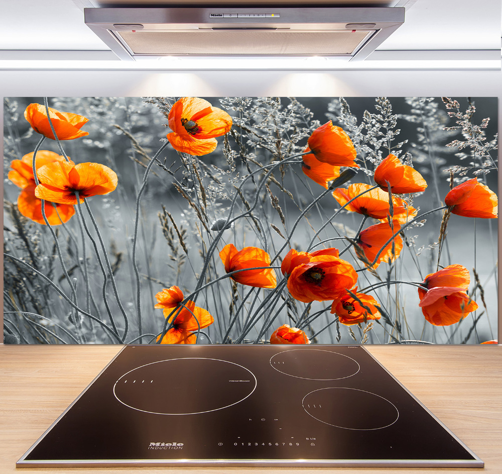 Cooker splashback Field poppies