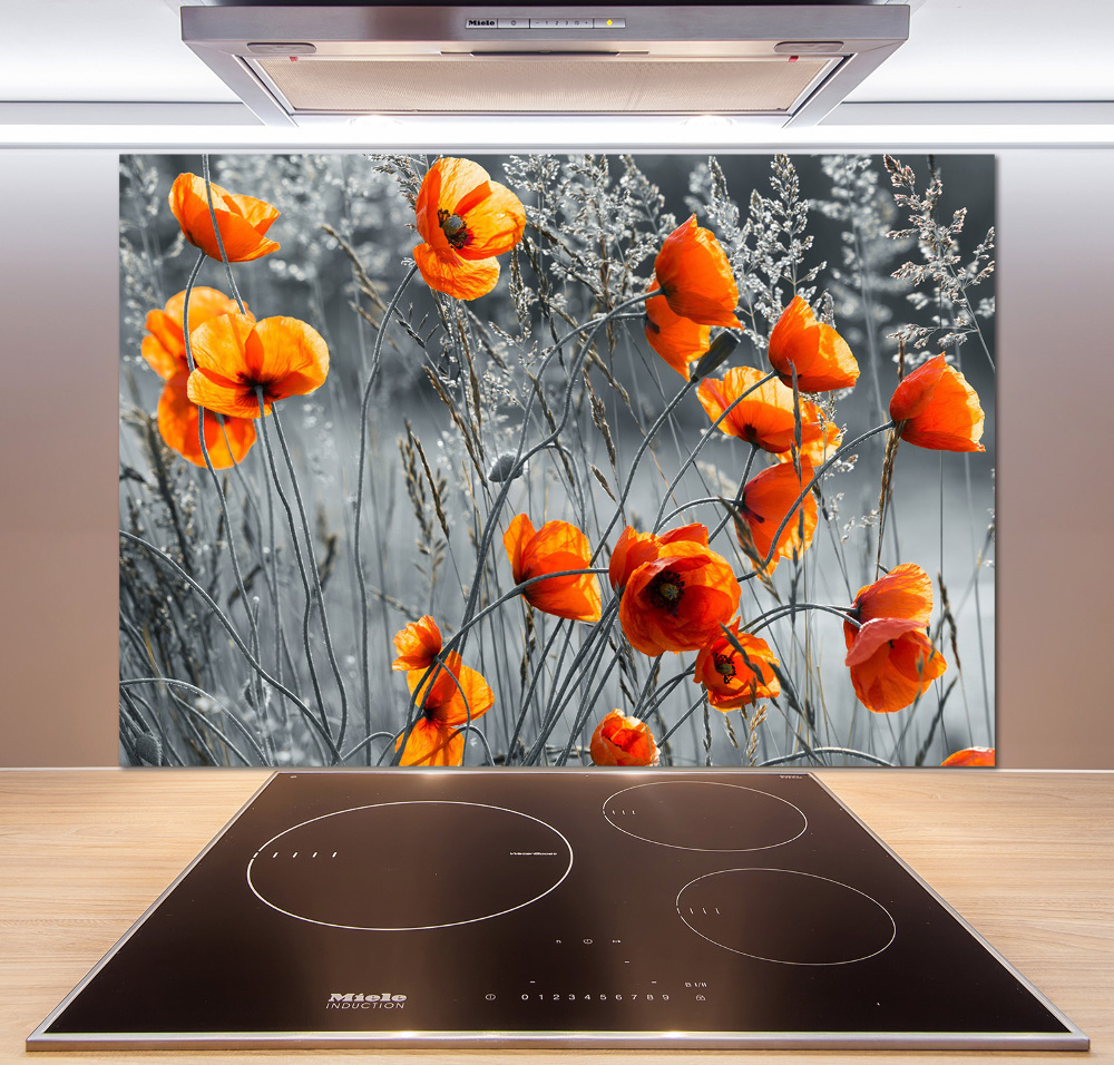 Cooker splashback Field poppies