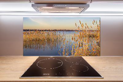 Cooker splashback Water cane