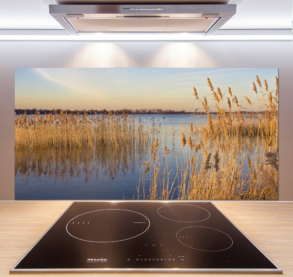 Cooker splashback Water cane