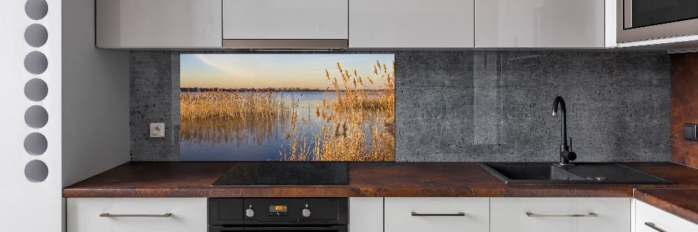 Cooker splashback Water cane