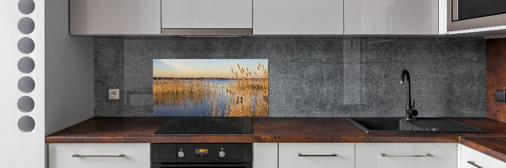 Cooker splashback Water cane