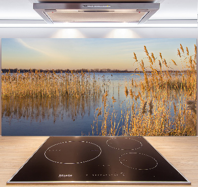 Cooker splashback Water cane