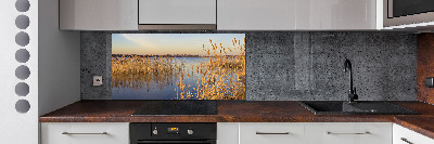 Cooker splashback Water cane