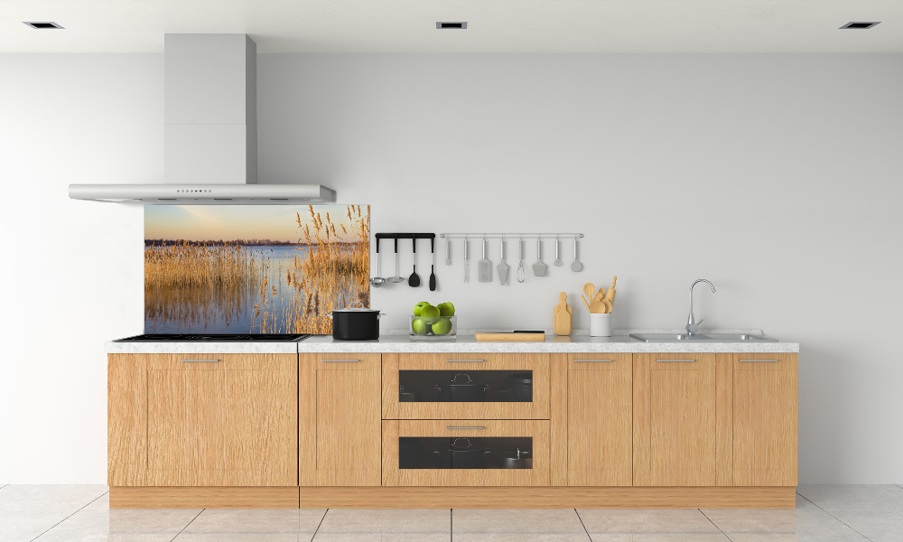 Cooker splashback Water cane