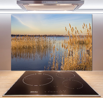 Cooker splashback Water cane