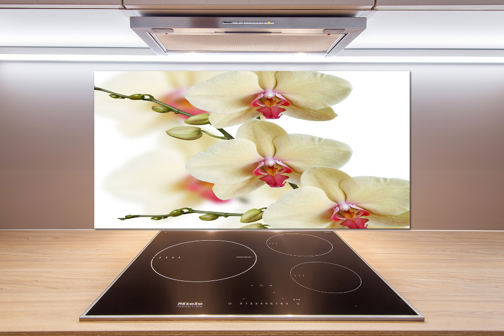 Cooker splashback Orchid