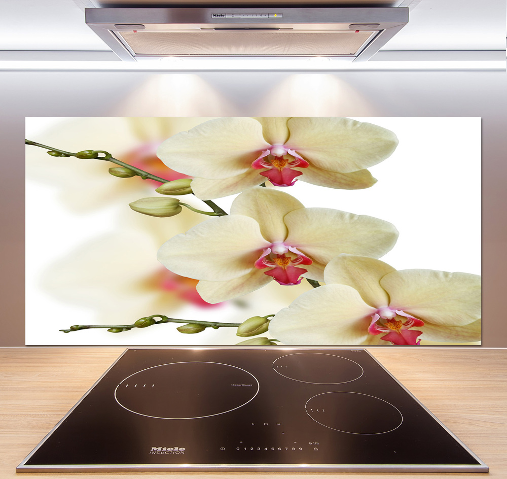 Cooker splashback Orchid