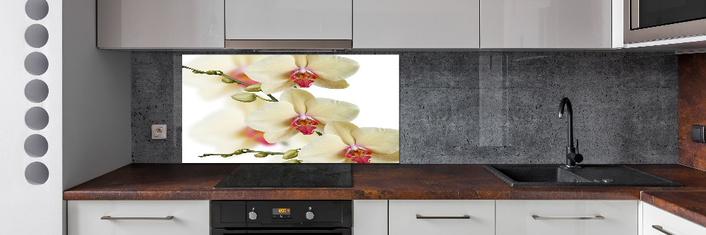 Cooker splashback Orchid