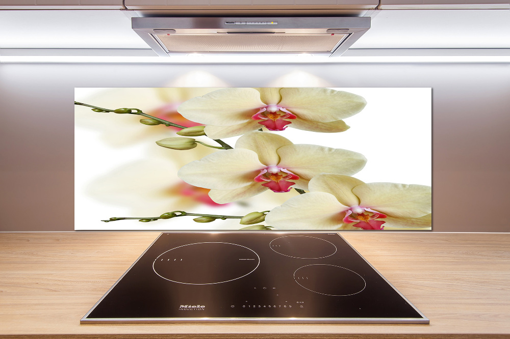 Cooker splashback Orchid