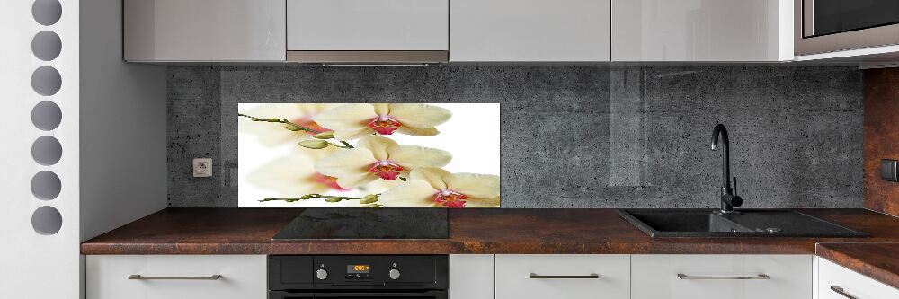 Cooker splashback Orchid