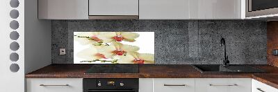 Cooker splashback Orchid