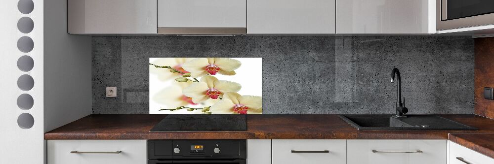 Cooker splashback Orchid