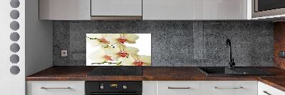 Cooker splashback Orchid