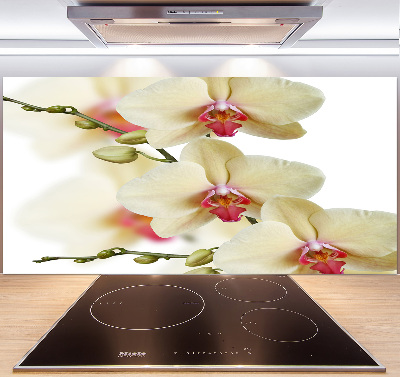 Cooker splashback Orchid