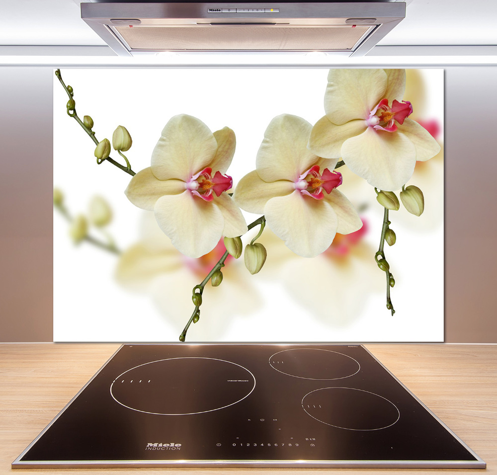 Cooker splashback Orchid