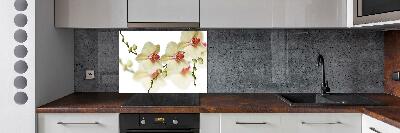 Cooker splashback Orchid