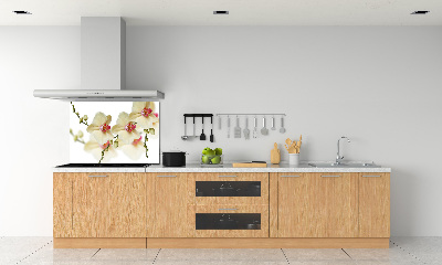 Cooker splashback Orchid