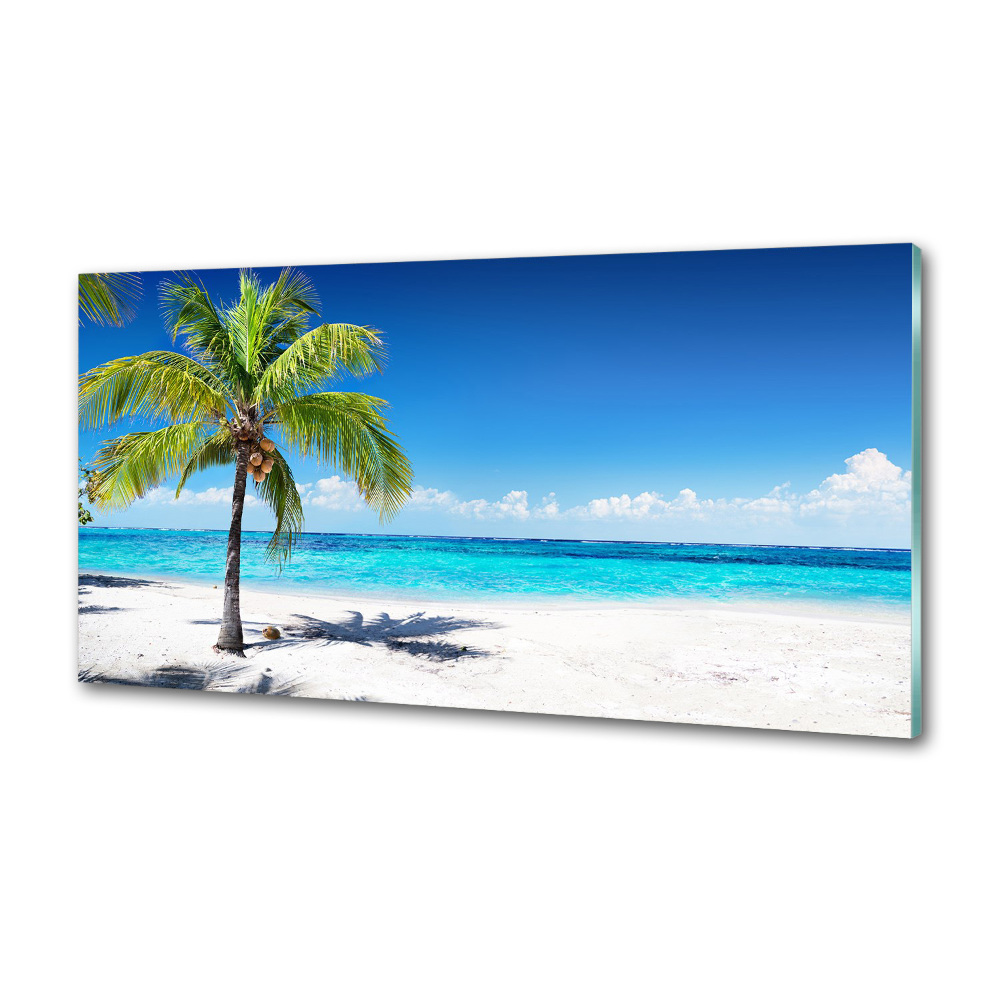 Cooker splashback Tropical beach