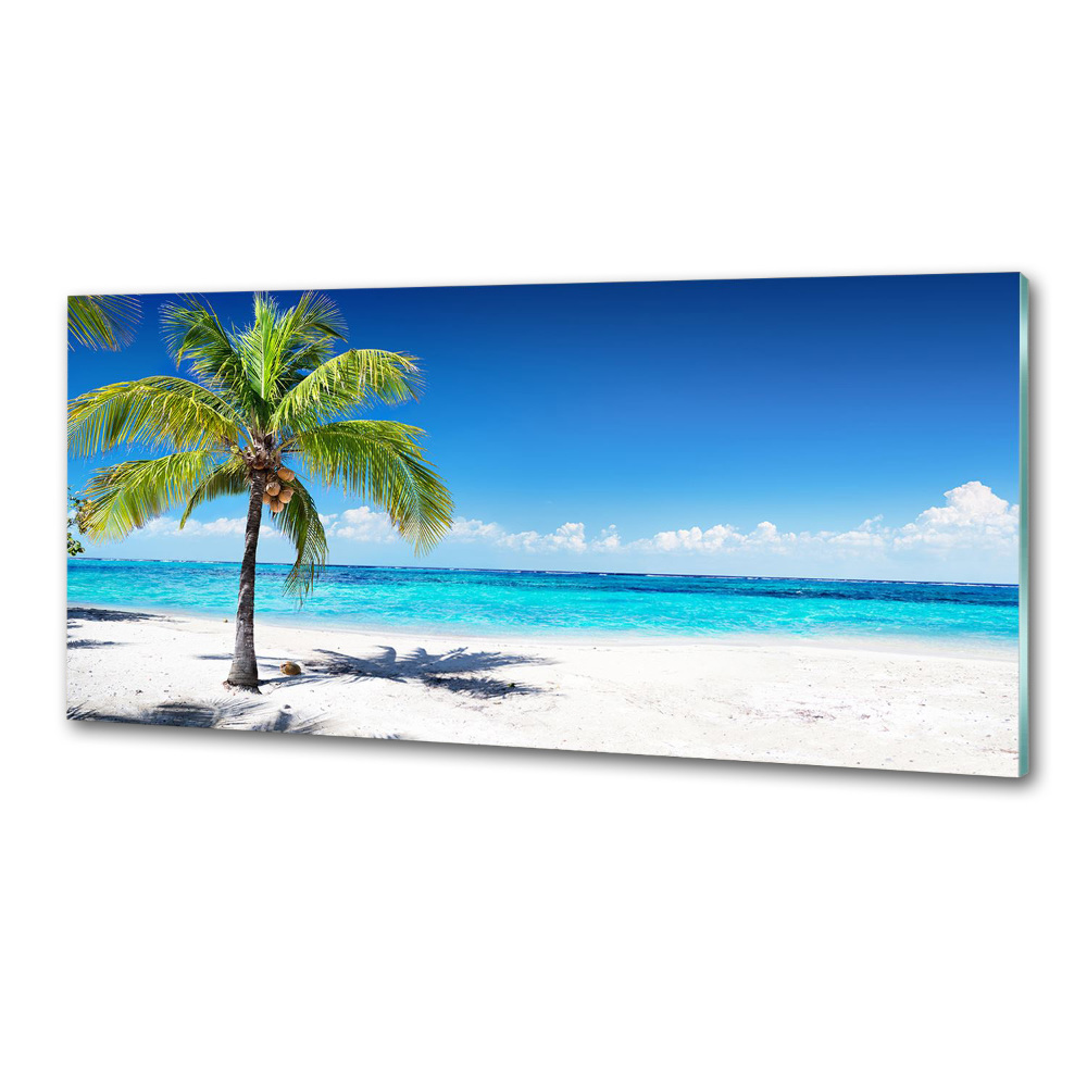 Cooker splashback Tropical beach