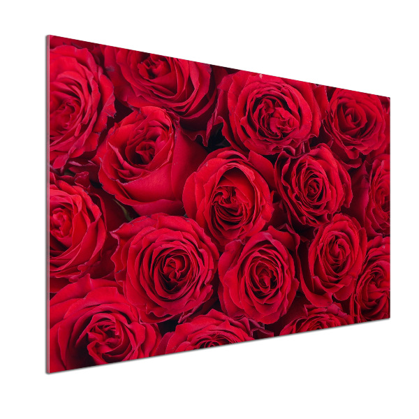 Cooker splashback Roses