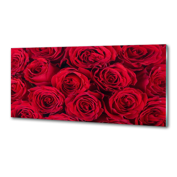 Cooker splashback Roses