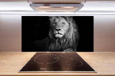 Cooker splashback Lion