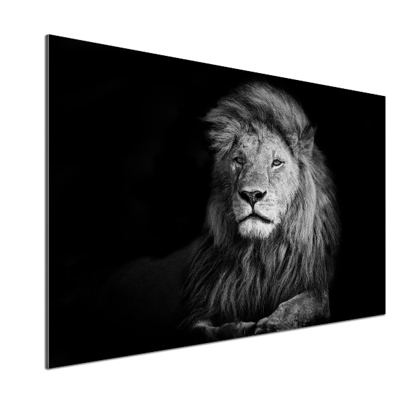 Cooker splashback Lion