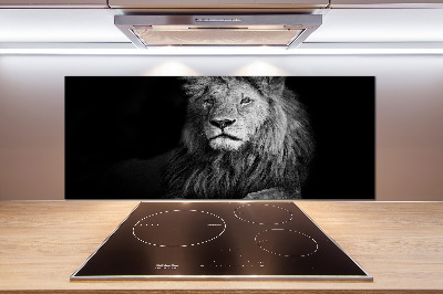 Cooker splashback Lion