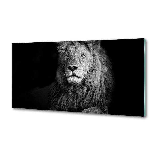 Cooker splashback Lion