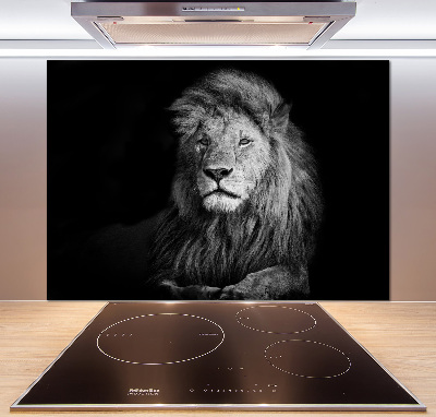 Cooker splashback Lion