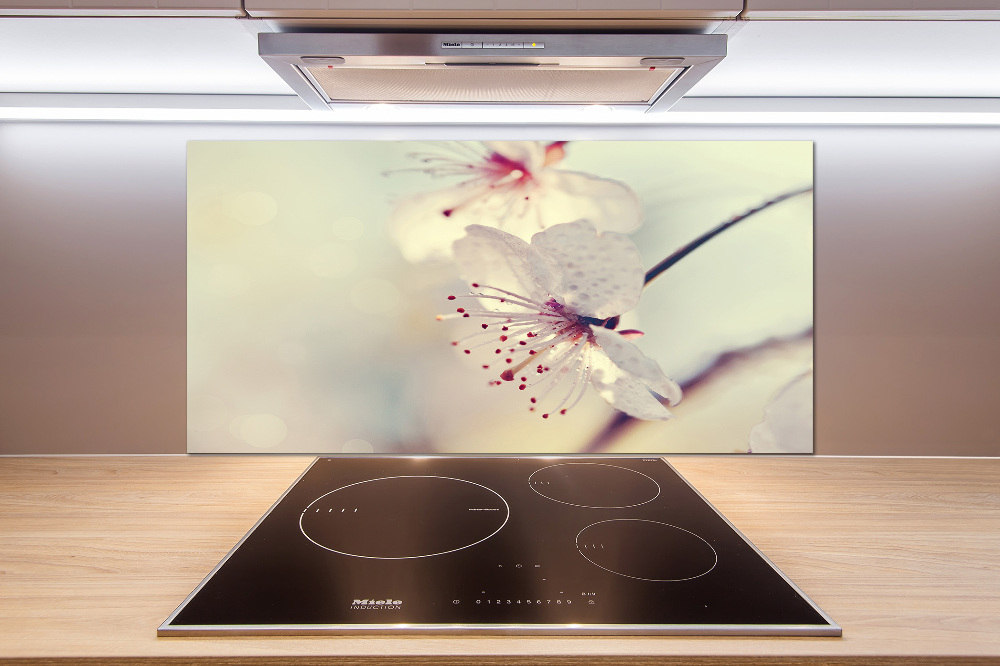 Cooker splashback Cherry Blossom