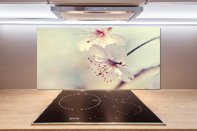 Cooker splashback Cherry Blossom