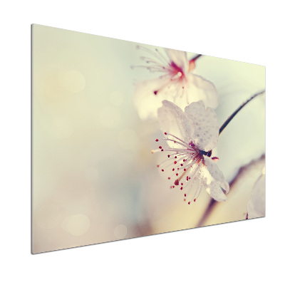 Cooker splashback Cherry Blossom