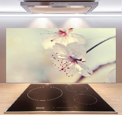 Cooker splashback Cherry Blossom