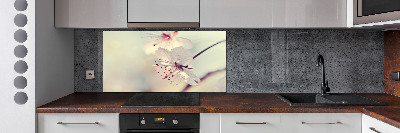 Cooker splashback Cherry Blossom