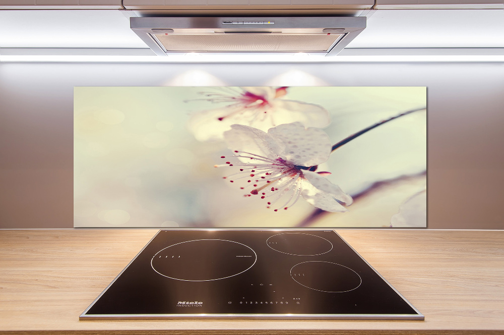 Cooker splashback Cherry Blossom