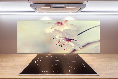 Cooker splashback Cherry Blossom