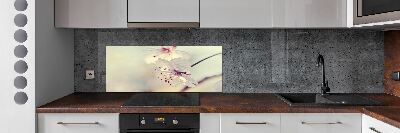 Cooker splashback Cherry Blossom