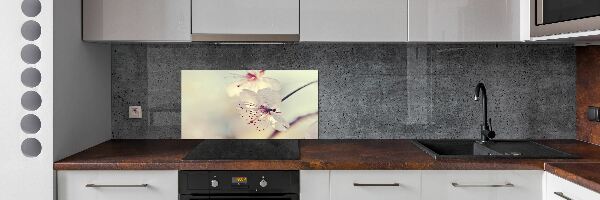 Cooker splashback Cherry Blossom