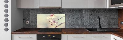 Cooker splashback Cherry Blossom