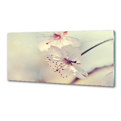 Cooker splashback Cherry Blossom