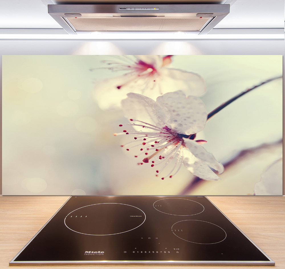 Cooker splashback Cherry Blossom